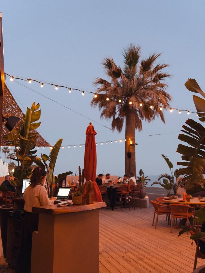 The deck at dusk with string lights, a palm tree and guests at their tables